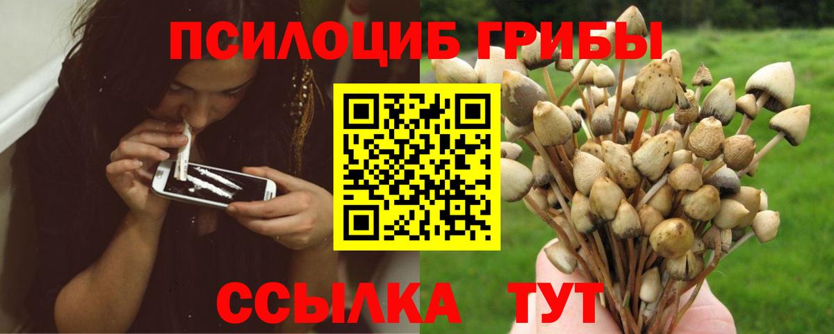 Красноуфимск  Псилоцибиновые грибы MAGIC MUSHROOMS  Вход с VPN 